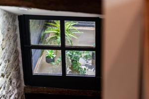 博讷SOUS LE HAUT DES REMPARTS的有一扇窗户,上面有一堆盆栽植物