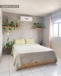 大坎皮纳Refúgio Urbano的卧室配有一张挂在墙上的植物床