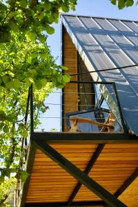 MerisiGreenWood Cottages Merisi的窗户,靠在房子的一边,有太阳能屋顶