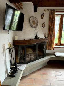 UnterseenRomantische Oase mit Kamin的客厅设有壁炉和电视。