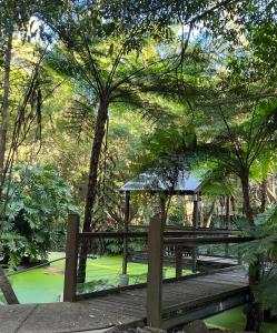 尼尔森湾绿洲一英里海滩公寓的公园内带凉亭的木桥