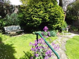 霍巴特Josie's Cottage的一个带长凳和紫色花的花园