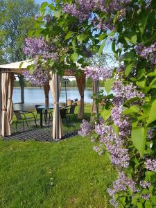 InturkėŠAMO UOSTAS - vila šeimoms ant ežero kranto的野餐区,带桌子和紫色花卉的树木