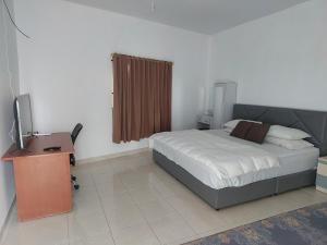 巴淡岛中心HAPDESKO HOMESTAY的一间卧室配有一张床、一张书桌和一台电视