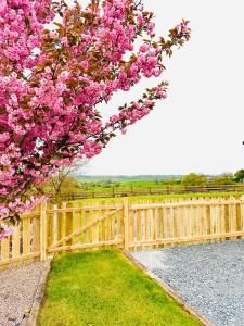 Robins Cottage的木栅,树上种有粉红色花朵