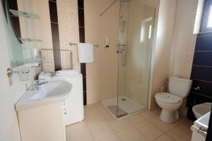 锡盖图马尔马切伊Aparthotel Punct pe i的一间带水槽、卫生间和淋浴的浴室