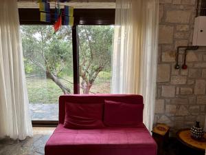 莱弗考基亚Elia Home的大窗户前的红色沙发