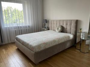 维尔纽斯SAULETEKIO APARTMENT的一间卧室设有一张大床和一个窗户。
