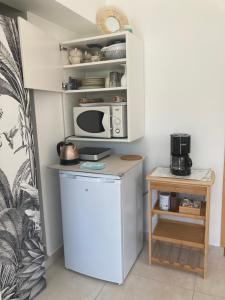 普罗旺斯地区特朗Ti'colombier d Azur的厨房配有小冰箱和微波炉