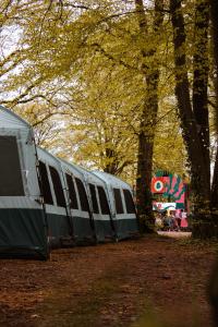 慕尼黑Oktoberfest and Springfest Inclusive Camping的公园里一排树木的帐篷