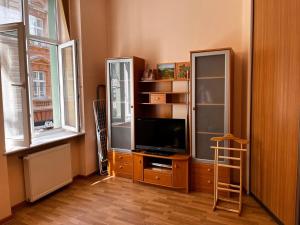 利沃夫Apartaments near Ploshcha Rynok的一间带电视和书架的客厅