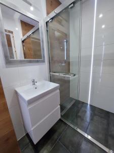 萨比诺瓦Domki Letniskowe Family Dreams的白色的浴室设有水槽和淋浴。