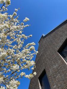 普特布斯Backsteinquartier Rügen的砖楼前的开花树