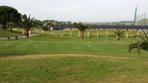 韦尔瓦Pinares de Lepe的一座种植了棕榈树和绿色植物的高尔夫球场