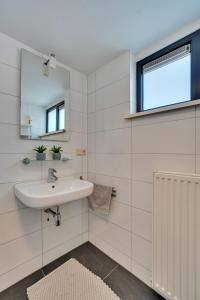 拉纳肯Vijverzicht的一间带水槽和镜子的浴室