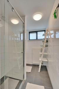 拉纳肯Vijverzicht的一间带玻璃淋浴和梯子的浴室