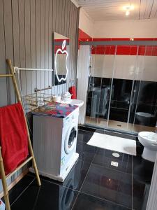 圣多美Hostel Sao Gabriel的一间带盥洗盆的浴室内的洗衣机