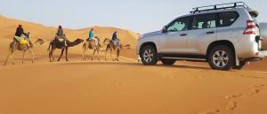 托泽尔Dar El Sultan Tozeur的一群人在沙漠骑骆驼