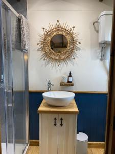 阿伯里斯特威斯Silver Fern Glamping的浴室设有水槽和墙上的镜子