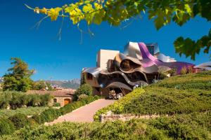 埃尔希耶戈Hotel Marqués de Riscal, a Luxury Collection Hotel, Elciego的山顶上的建筑