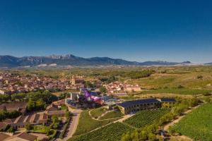 埃尔希耶戈Hotel Marqués de Riscal, a Luxury Collection Hotel, Elciego的葡萄园中小镇的空中景观