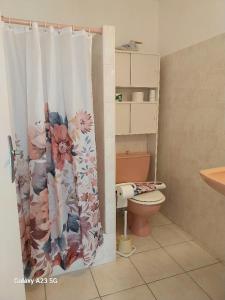 LuriCHEZ ISABELLE的一间带卫生间和淋浴帘的浴室