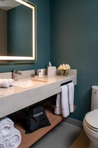 利马Fairfield by Marriott Lima Miraflores的一间带水槽、镜子和卫生间的浴室