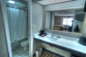 海伦Amerivu Inn & Suites - Helen - Downtown的一间带水槽、卫生间和镜子的浴室
