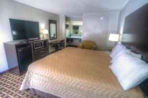 海伦Amerivu Inn & Suites - Helen - Downtown的配有一张床和一台平面电视的酒店客房