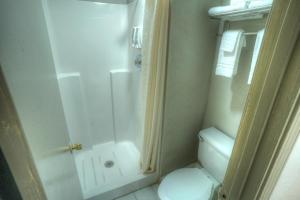 海伦Amerivu Inn & Suites - Helen - Downtown的带淋浴和卫生间的小浴室
