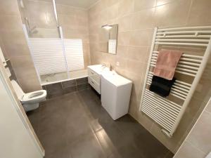 托农莱班Appartement T2 cosy centre ville的浴室配有白色水槽和卫生间。