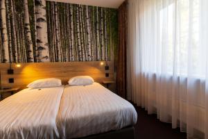 贝克贝亨斯图佩尔堡酒店的一间卧室设有一张大床和一个窗户。