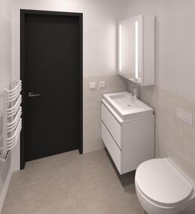圣加仑MOOI Apartments St.Gallen的浴室配有白色卫生间和盥洗盆。