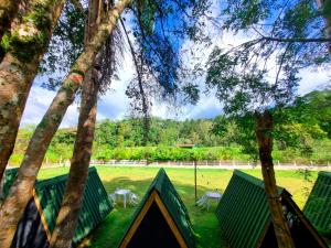苏扎努FamilyCamp hospedagem perto do Magic City的树林里的一个帐篷,有田野和树木