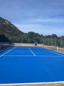 维琪奥港Residence "U LATONU"的一座蓝色的网球场,以山脉为背景