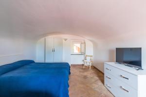 普罗奇达La TERRAZZA sul GIARDINO的一间卧室配有一张床和一台平面电视