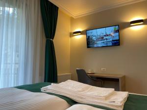 阿列谢尼PENSIUNEA SKY HUB的酒店客房设有一张床和墙上的电视