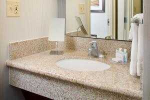 桑兹顿里士满机场万怡酒店的浴室的柜台设有水槽和镜子