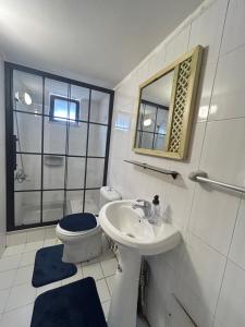 安曼Crafthouse的一间带水槽、卫生间和镜子的浴室