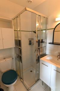 圣吉尔-克鲁瓦德维GÎTE DES FRUCHES的带淋浴、卫生间和盥洗盆的浴室