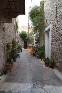 VéssaPetrino Vessa的楼里长着长凳和盆栽的小巷