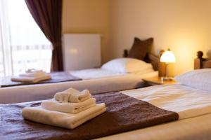 普拉伊德Pensiunea Heveder的酒店客房,配有两张带毛巾的床