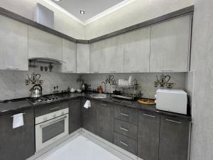 撒马尔罕Samarkand luxury apartment #5的厨房配有灰色橱柜和白色用具
