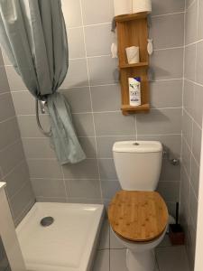 La Roquette-sur-SiagneTinyHouse的一间带卫生间和淋浴的小浴室