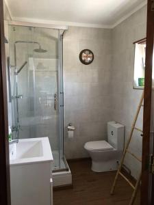 奎恩塔杜安乔Casa Almenara的带淋浴、卫生间和盥洗盆的浴室