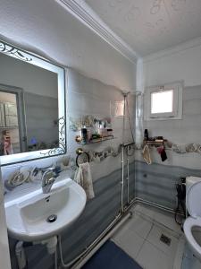 阿尔及尔Charmant Appartement vue sur mer的一间带水槽和淋浴的浴室