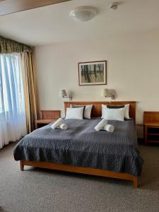 埃格尔艾斯特拉高级酒店的一间卧室配有一张大床和两个枕头