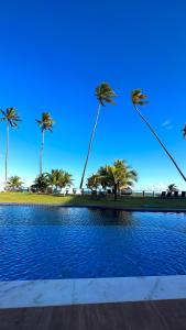 伊塔齐米林Apto Novo beira-mar Praia de Itacimirim的一座棕榈树环绕的游泳池