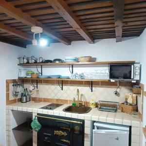 米耶雷斯La Nozal - La Vallicuerra Casas Rurales的厨房配有水槽和微波炉