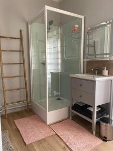 Celles-sur-DurolleDomaine de Marchal - chambres et table d'hôtes的带淋浴、水槽和镜子的浴室